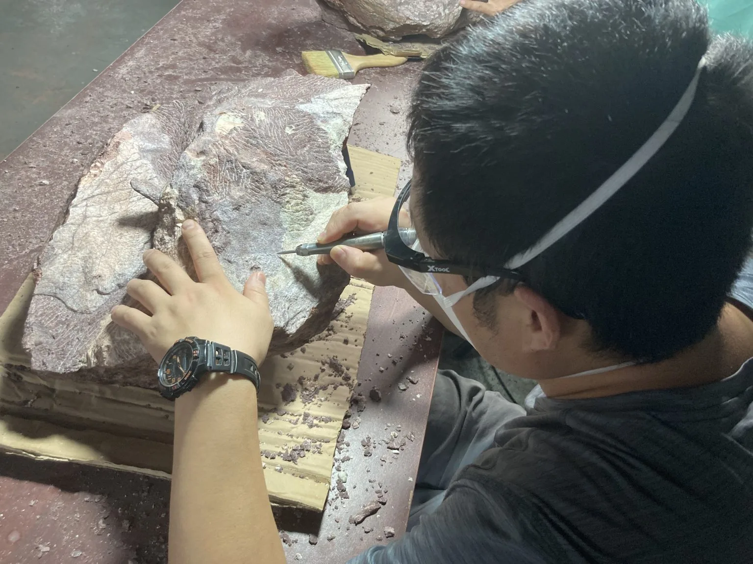 古脊椎所專家清修含恐龍骨骼化石的岩石。翻攝自香港古蹟辦