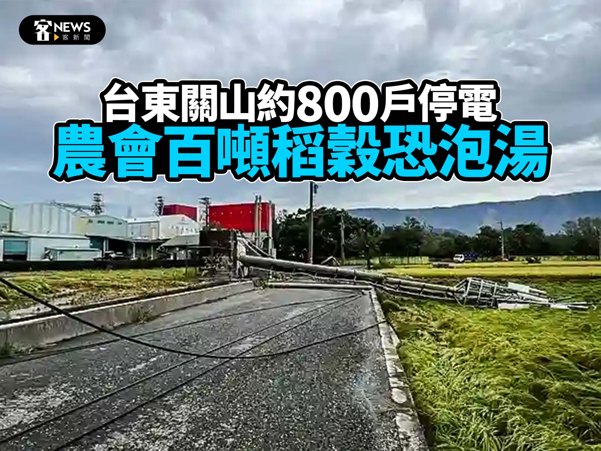 台東關山約800戶停電　農會百噸稻穀恐泡湯