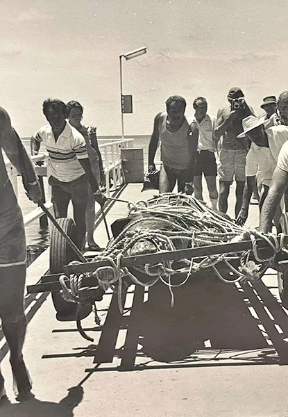 1980年代Cassius在以鱷魚為旅遊亮點的澳洲北領地被捕獲。翻攝自Marineland Melanesia Crocodile Habitat