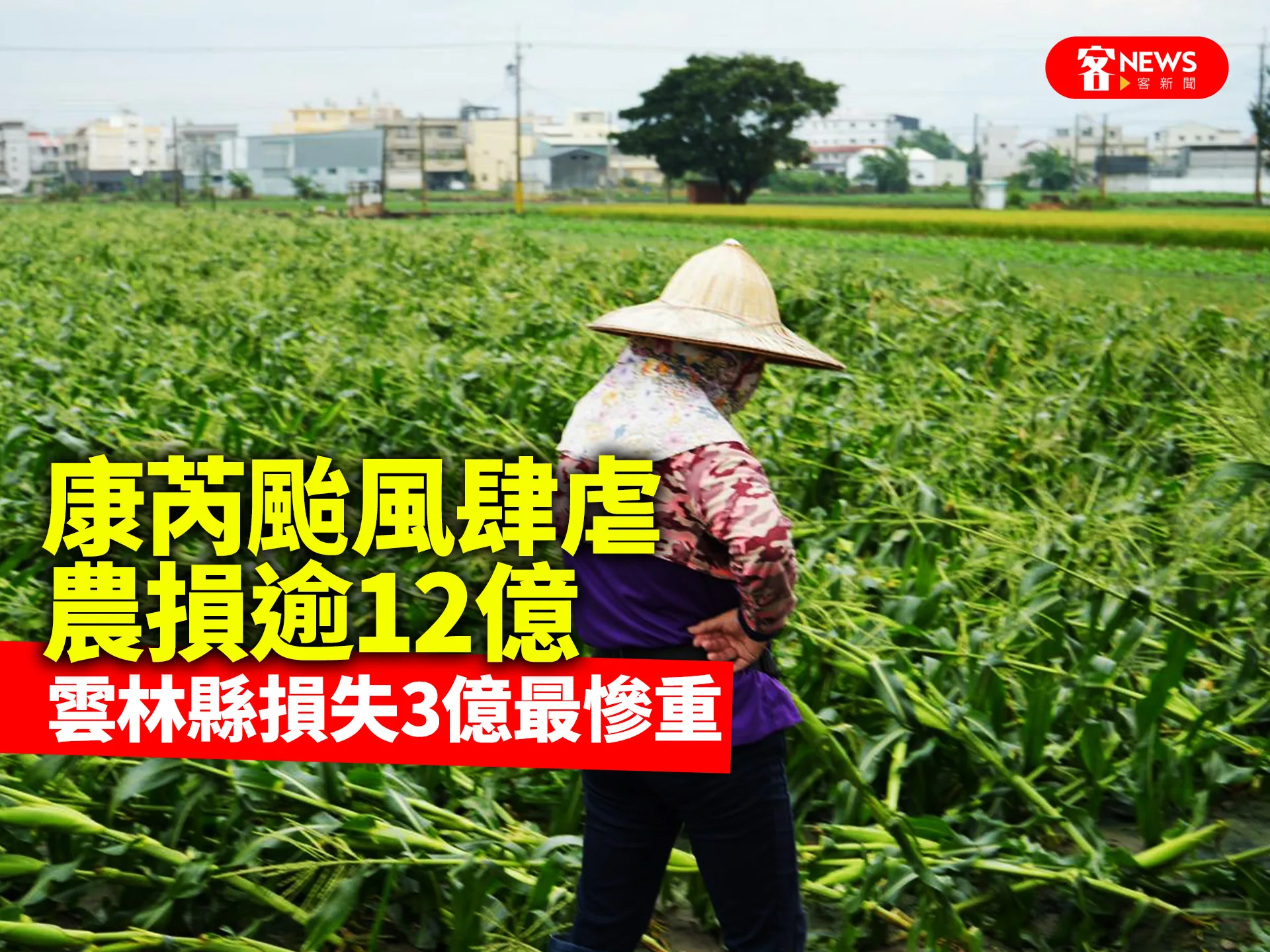 康芮颱風肆虐農損逾12億　雲林縣損失3億最慘重