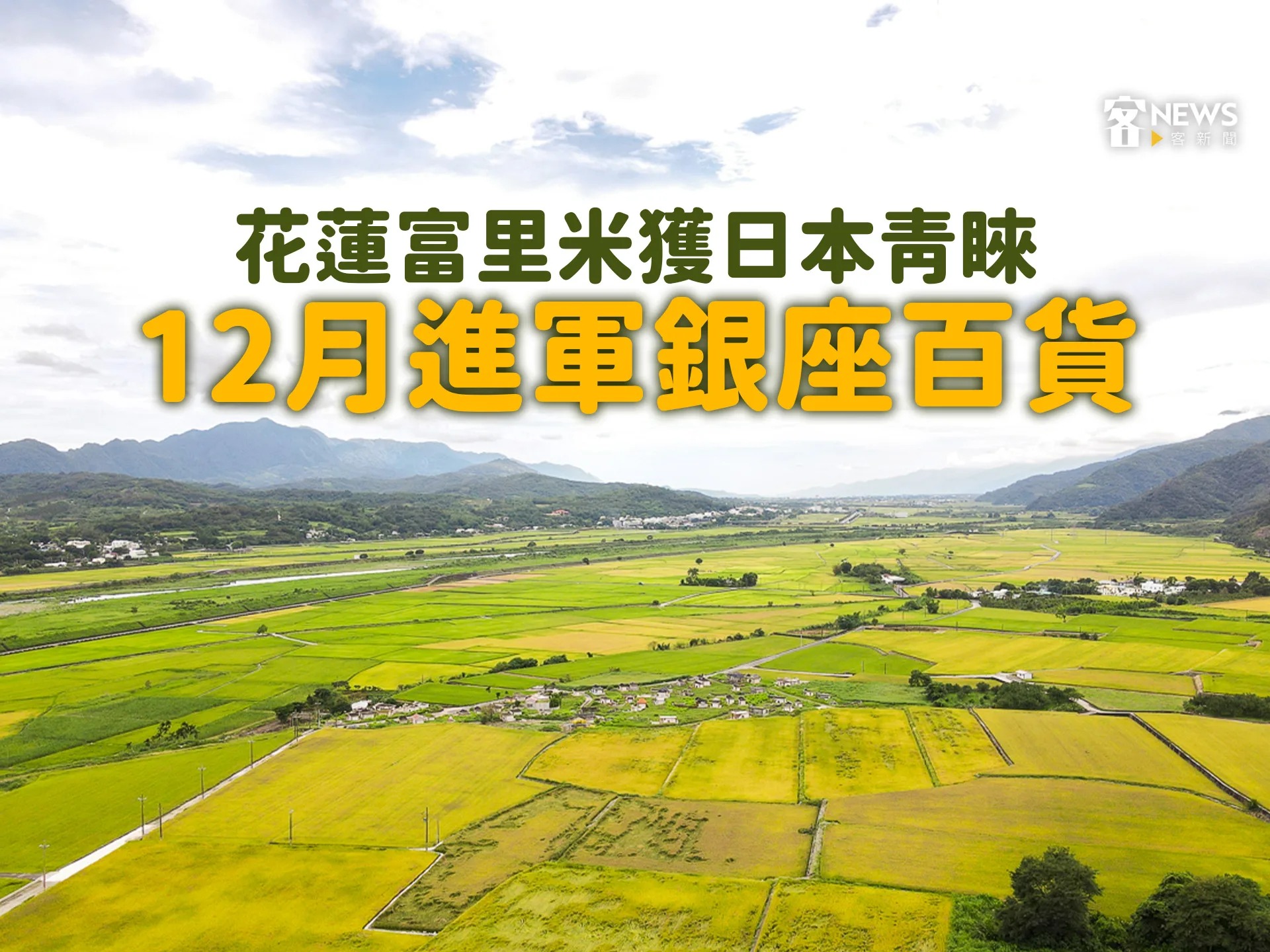 花蓮富里米獲日本青睞　12月進軍銀座百貨