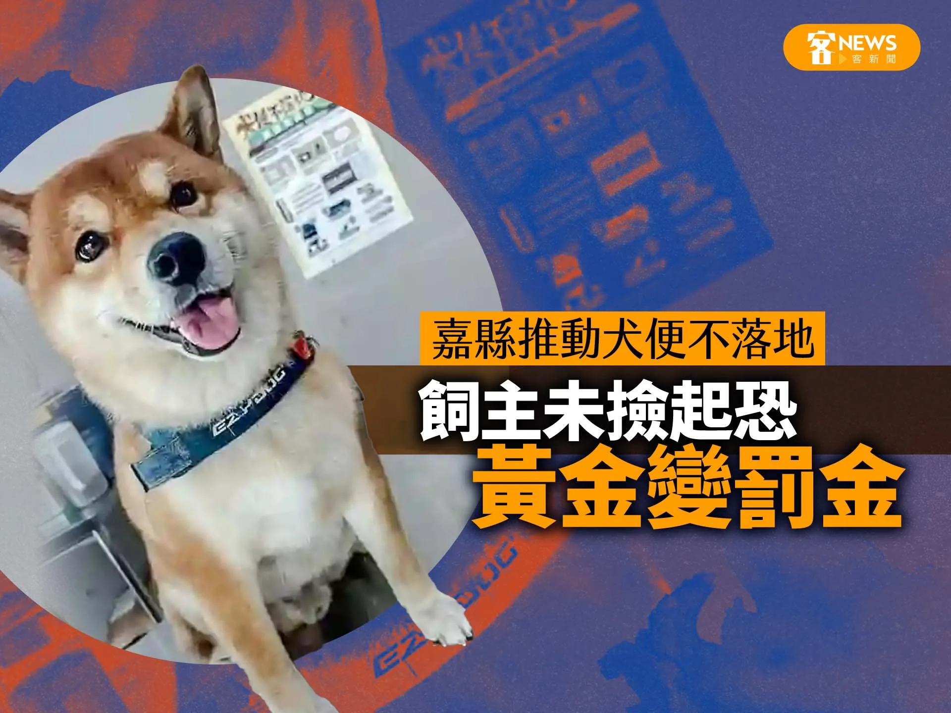 嘉縣推動犬便不落地　飼主未撿起恐「黃金變罰金」