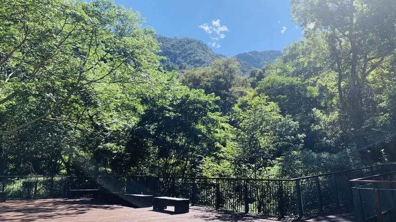 八仙山11月辦3場自由茶席　邀民眾體驗山林野趣