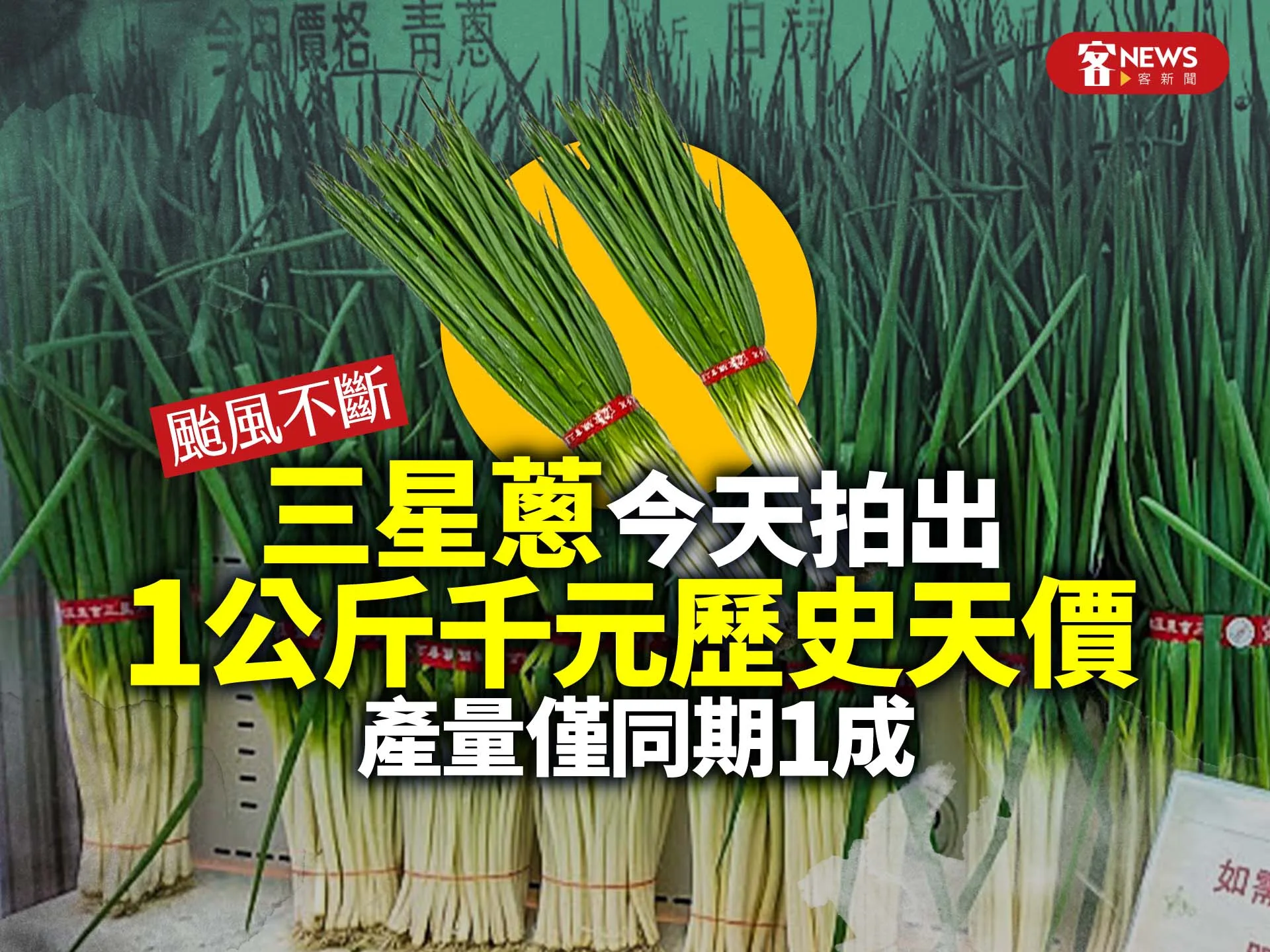 颱風不斷／三星蔥今天拍出1公斤千元歷史天價　產量僅同期1成