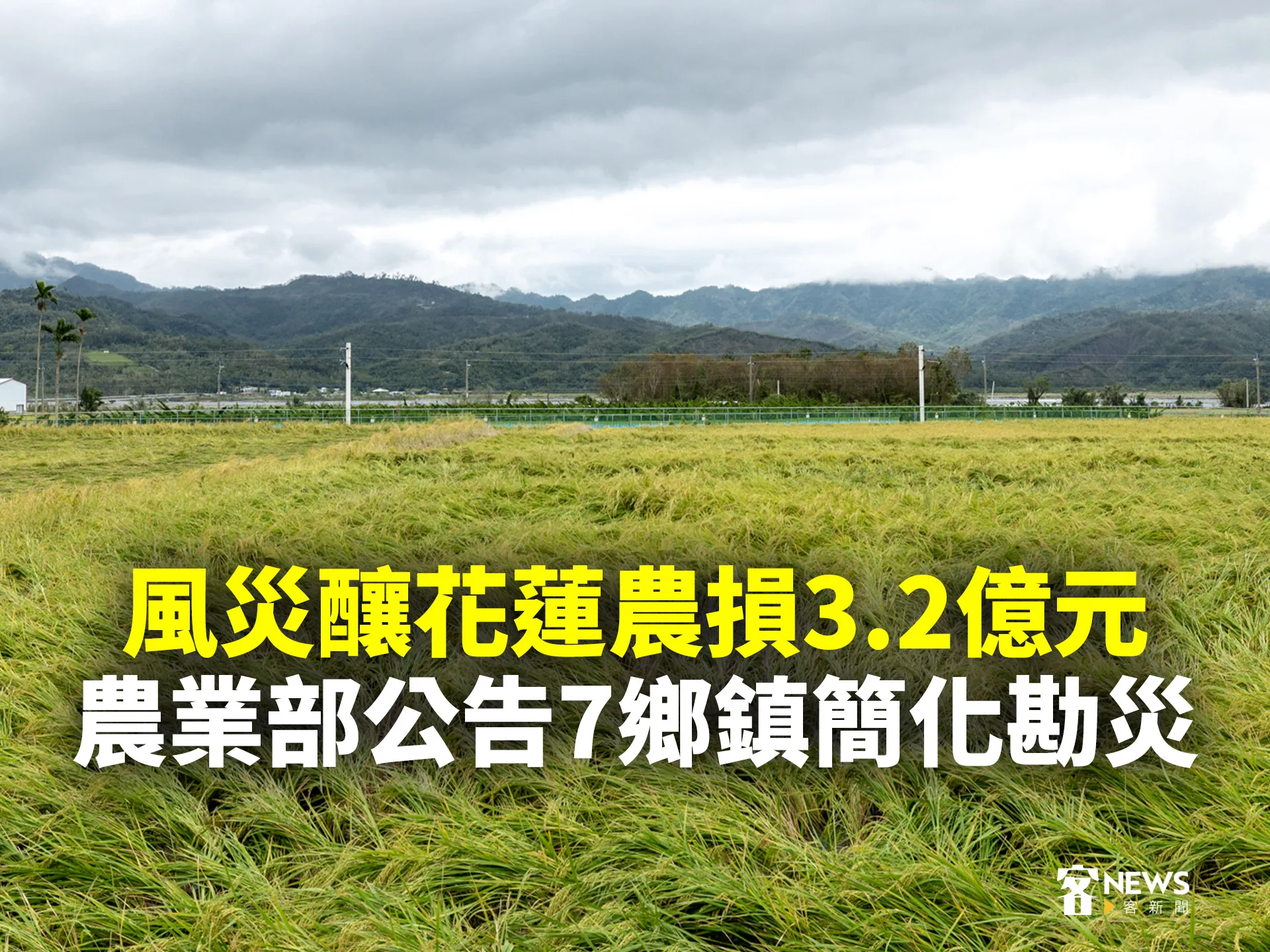 風災釀花蓮農損3.2億元　農業部公告7鄉鎮簡化勘災