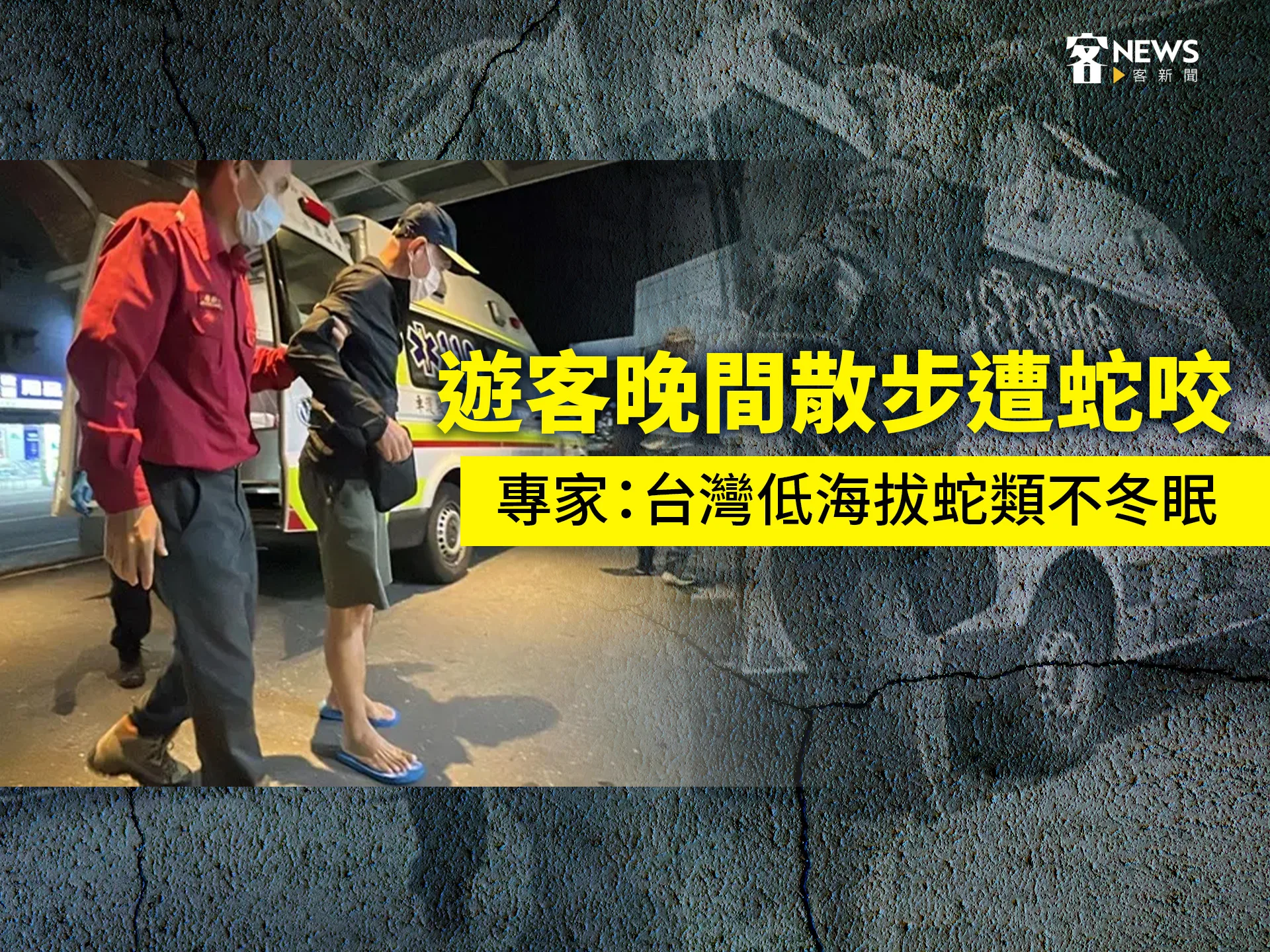 遊客晚間散步遭蛇咬　專家：台灣低海拔蛇類不冬眠