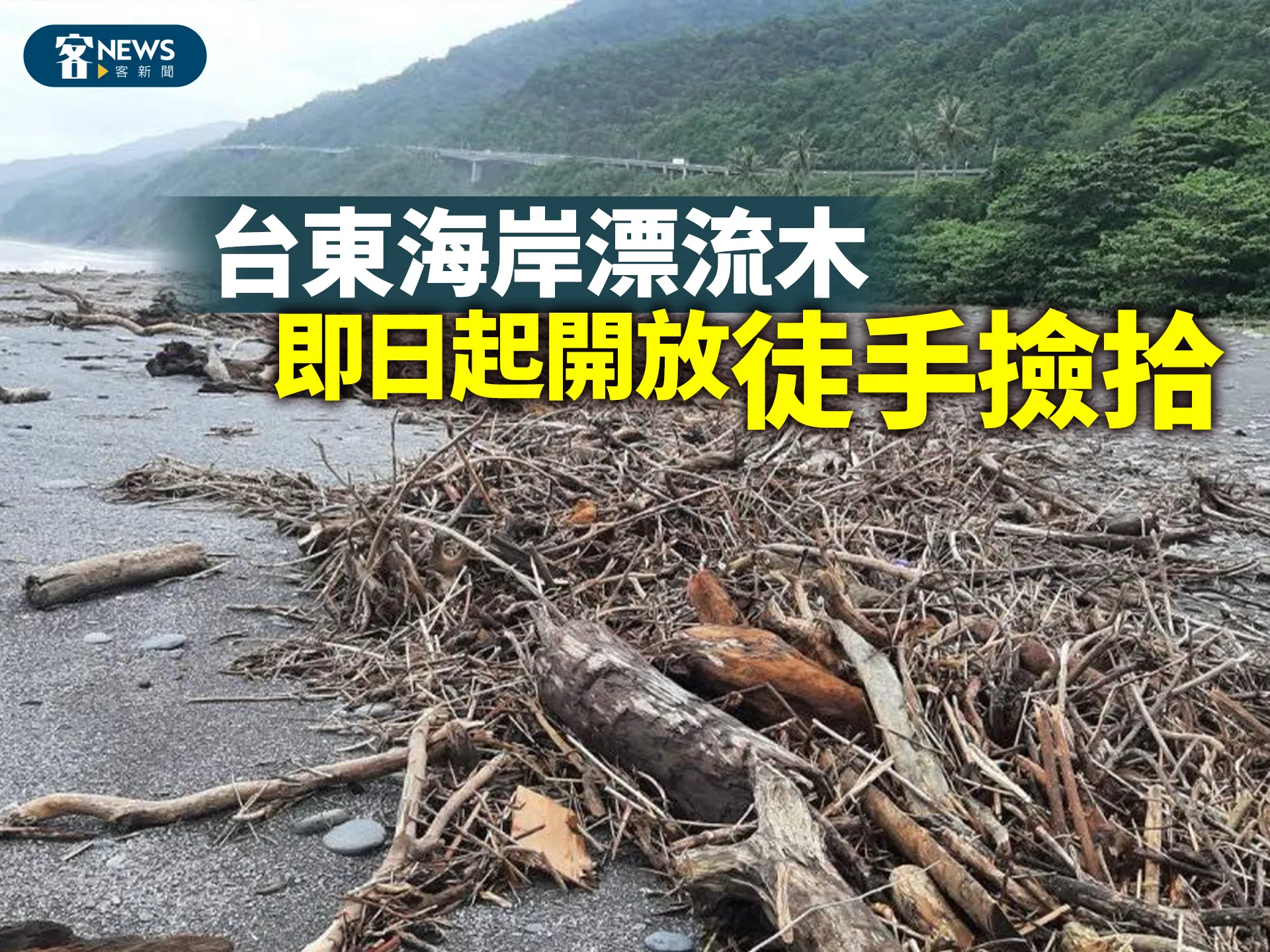台東海岸漂流木　即日起開放徒手撿拾