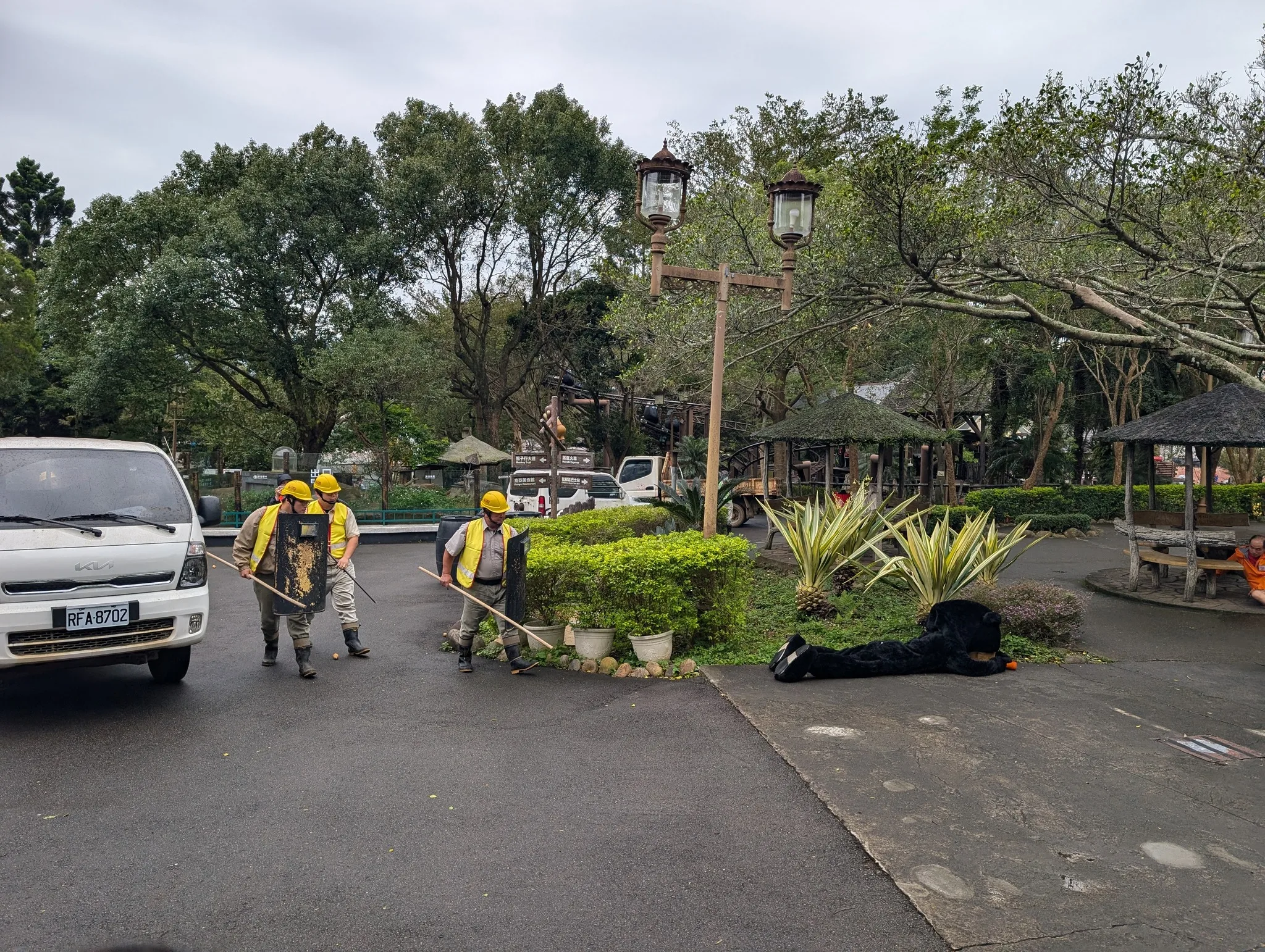 動管人員手持長棍和戰損塗裝防護盾牌,全副武裝接近黑熊以確認意識。六福村提供