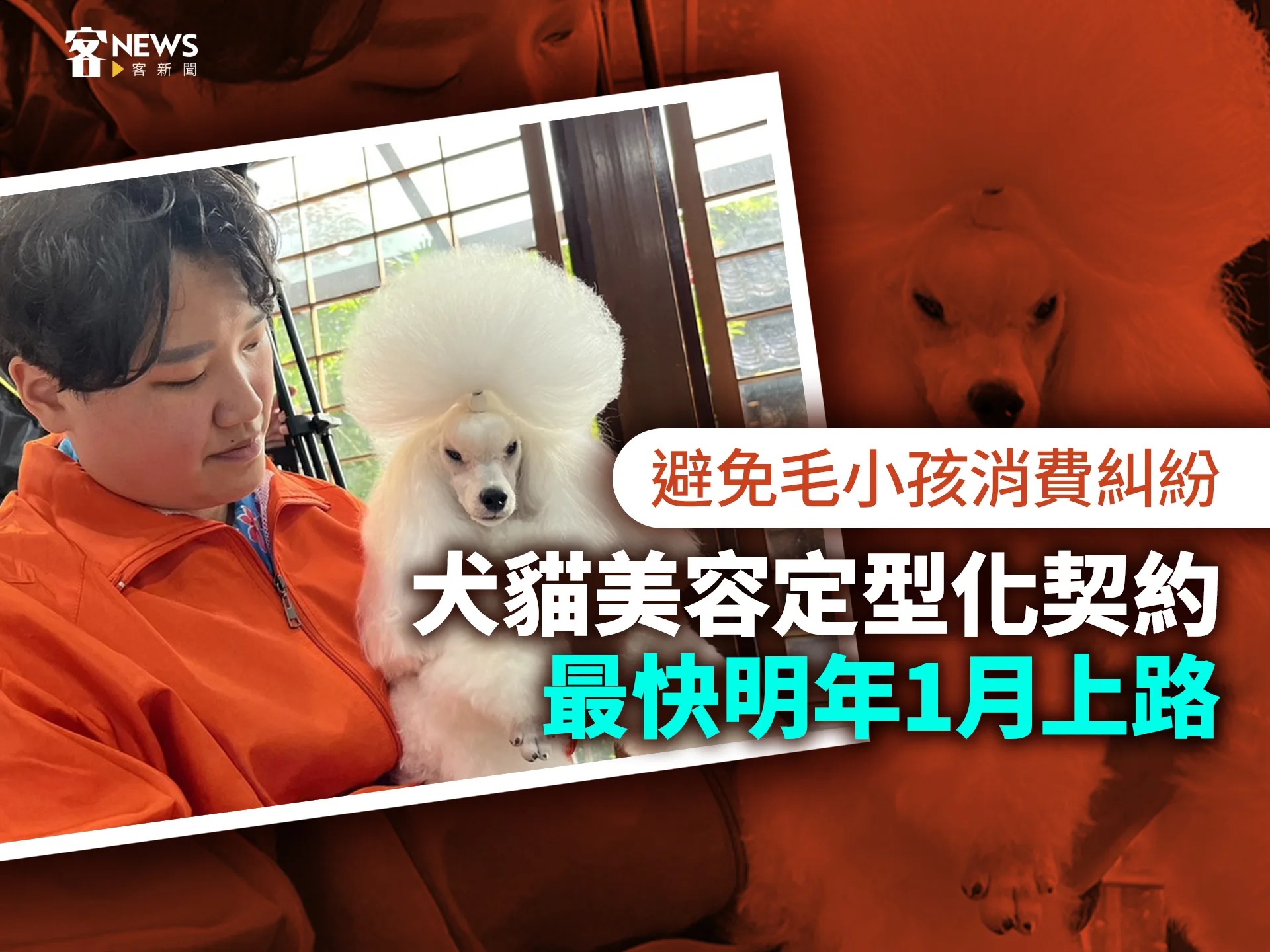 避免毛小孩消費糾紛　犬貓美容定型化契約最快明年1月上路