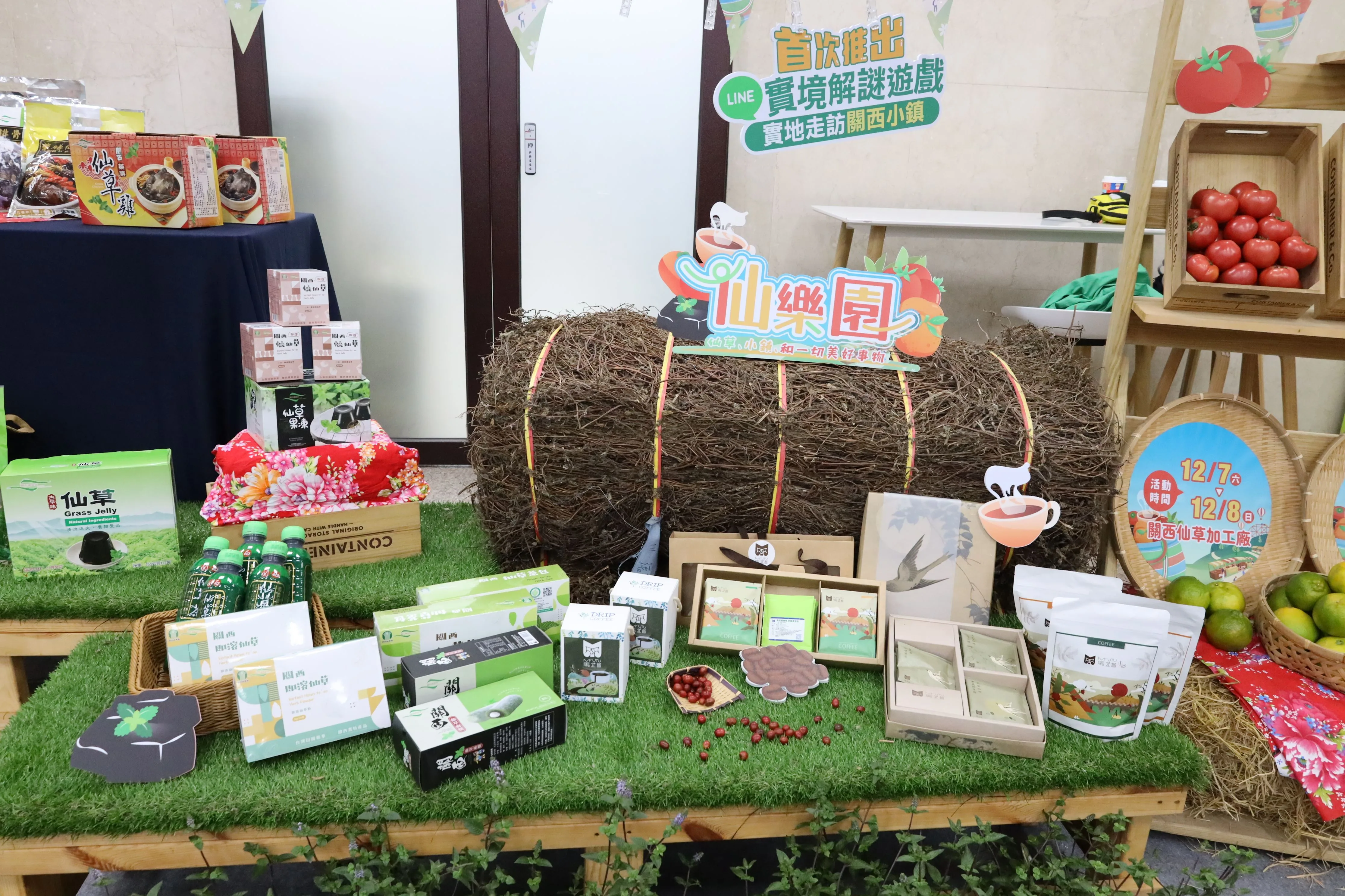 2024關西仙草節以「仙樂園」為主題,12月7日至8日將在關西鎮農會仙草加工廠登場。竹縣府提供