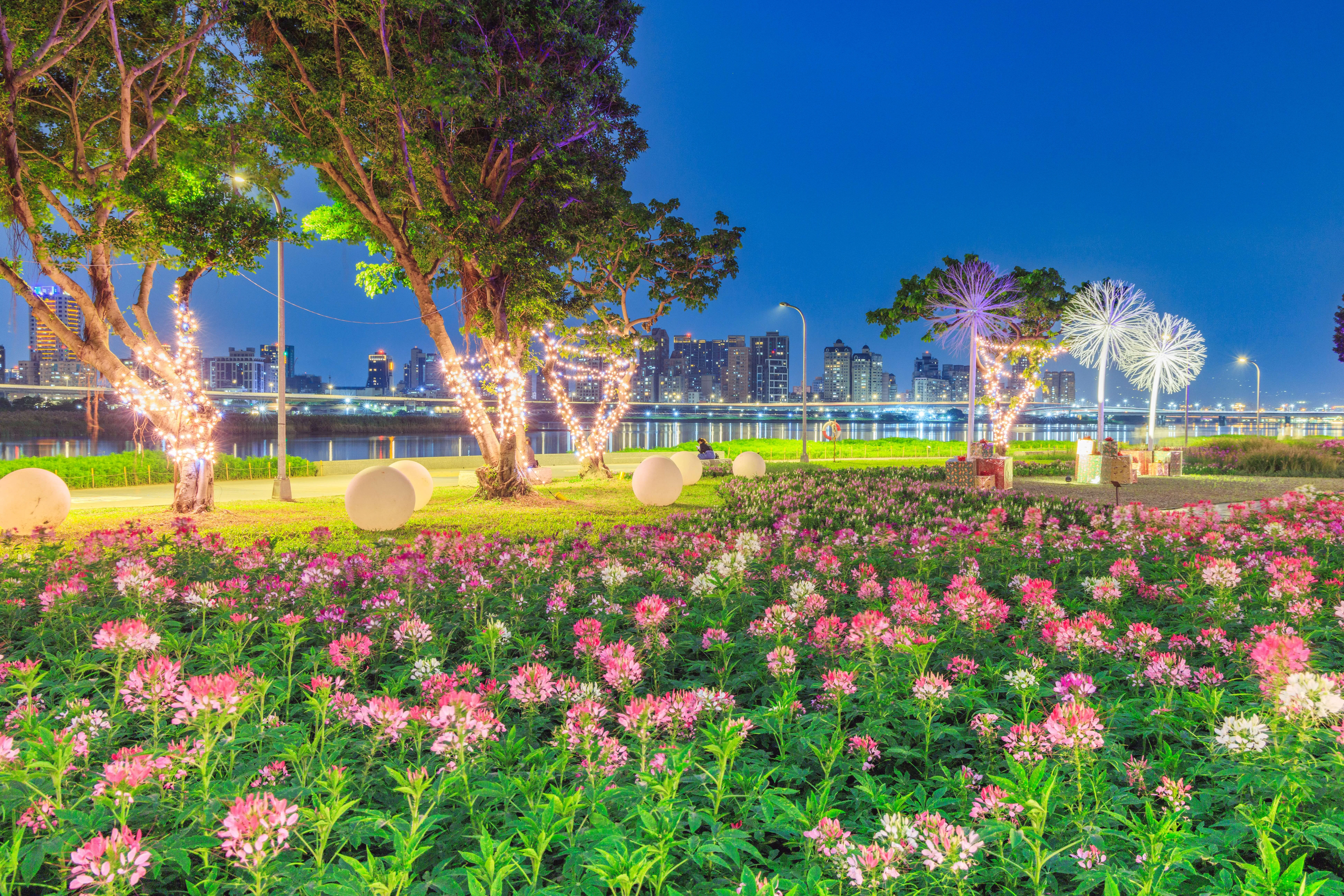 延平河濱花海搭配燈景,情侶必去。台北市政府提供