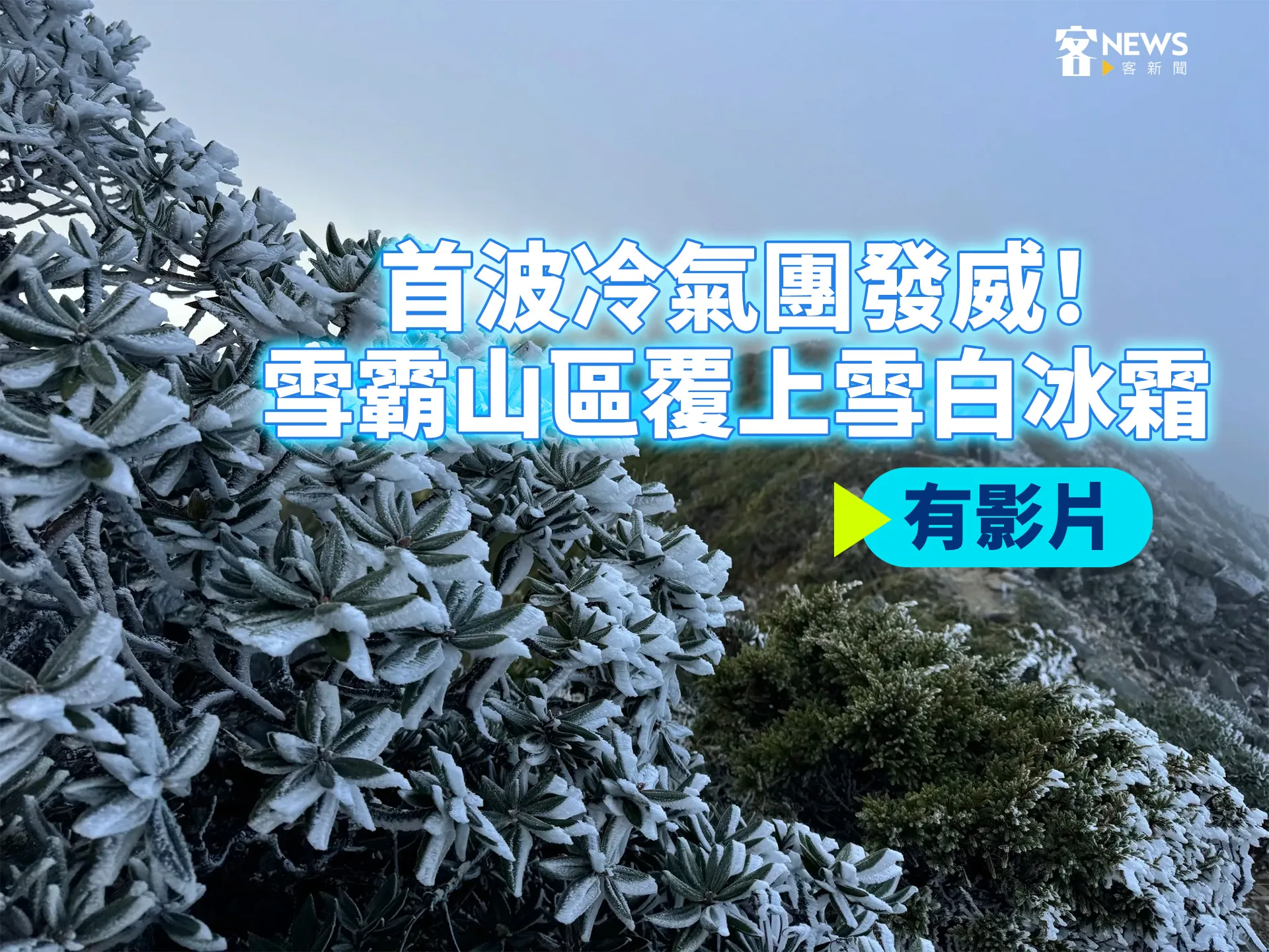 首波冷氣團發威！雪霸山區覆上雪白冰霜（有影片）