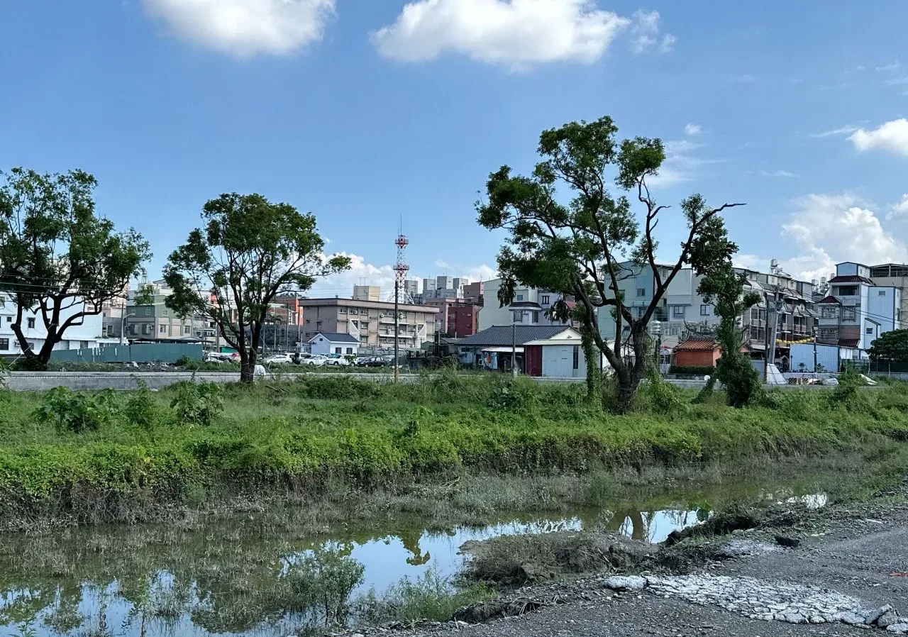 屏東3棵逾70年樟樹移植挺，過3颱風延續居民感情。屏縣府提供