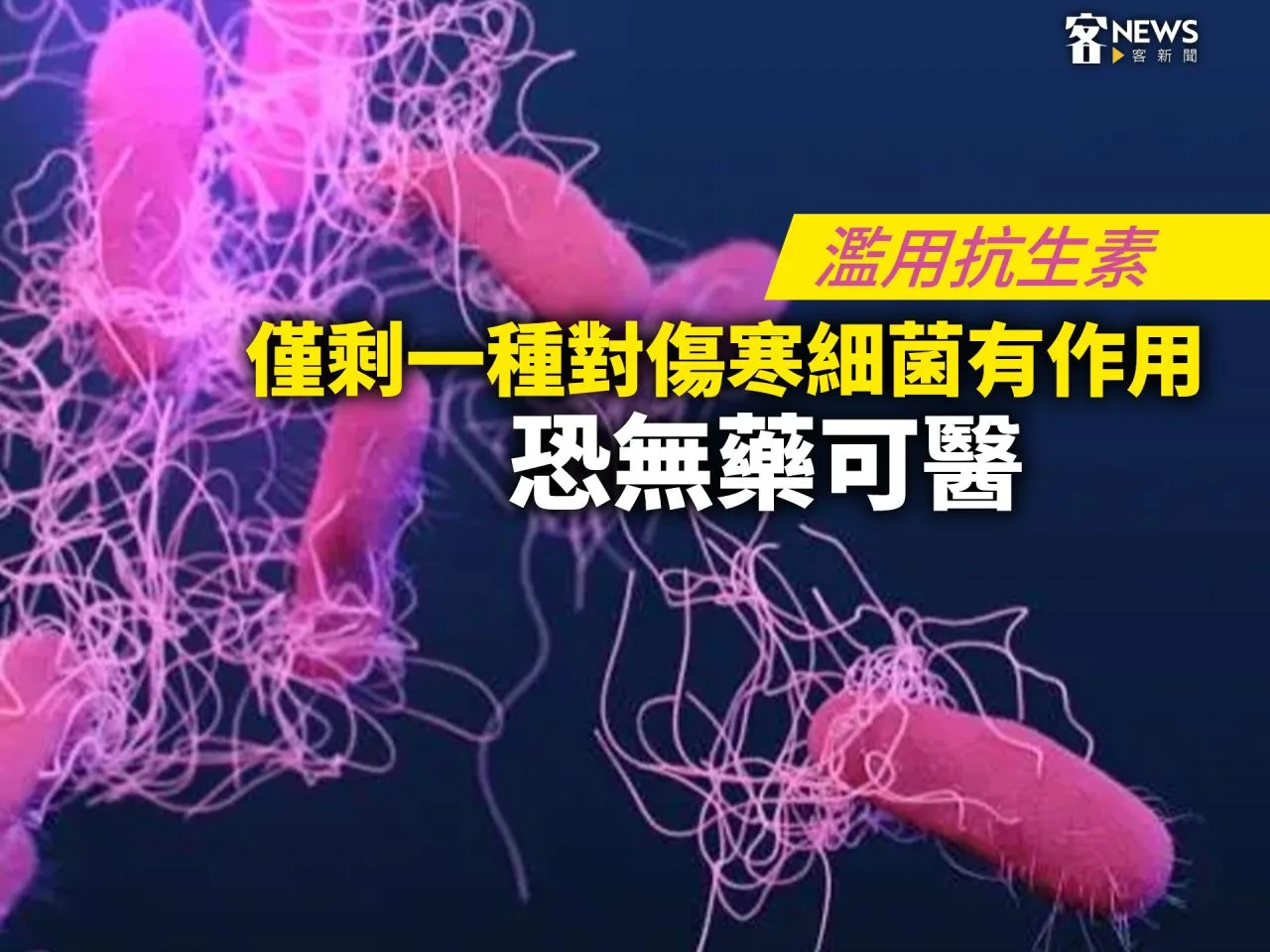 濫用抗生素／僅剩一種對傷寒細菌有作用　恐無藥可醫