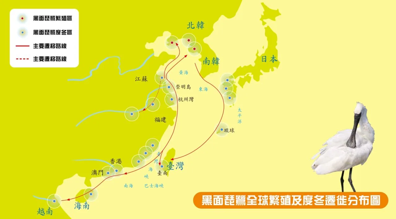 黑面琵鷺度冬遷徙分布圖。取自台江國家公園 官網