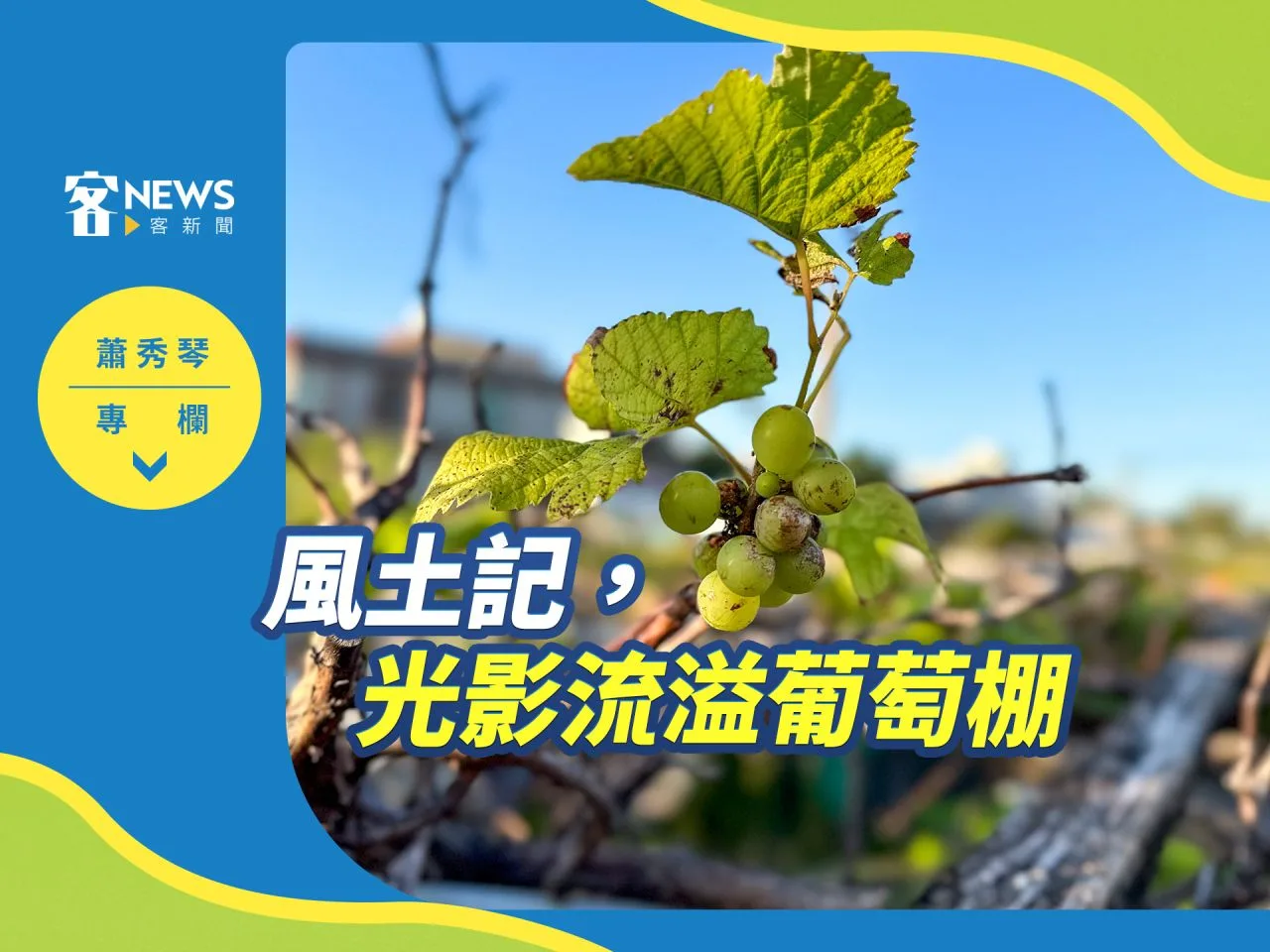 蕭秀琴專欄／風土記，光影流溢葡萄棚