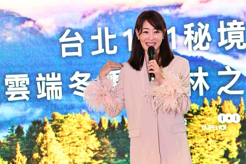 2025年台北101跨年煙火　賈永婕發想創意預告將有驚喜