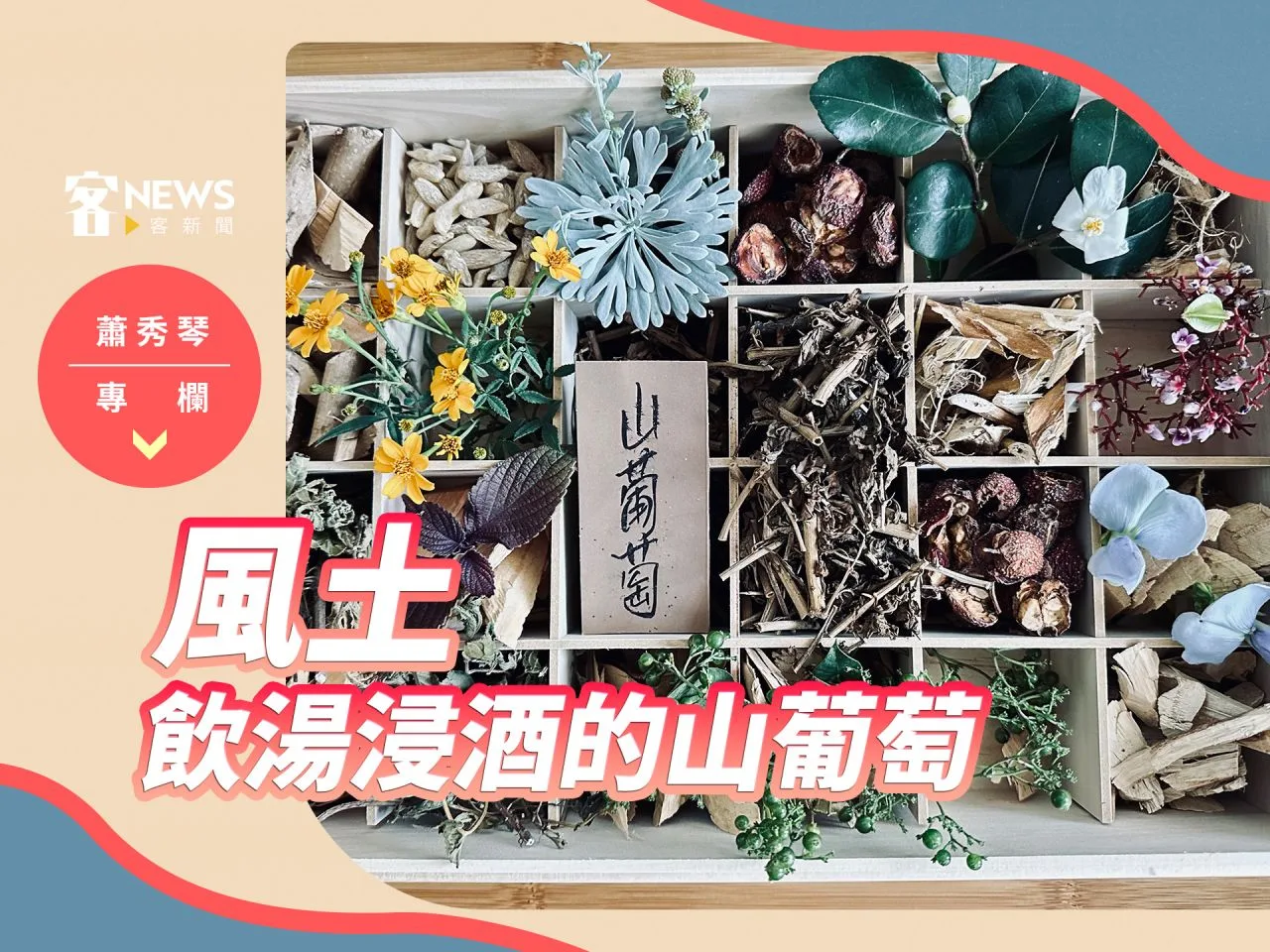 蕭秀琴專欄／風土，飲湯浸酒的山葡萄
