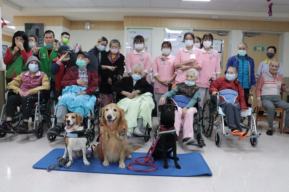 3隻服務犬分別是12歲的米格魯犬小福、6歲的黃金獵犬Ellie、1歲的黑犬ida。翻攝自衛生福利部彰化醫院 臉書
