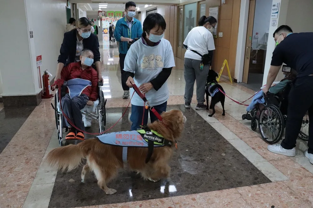 服務犬也會陪著坐輪椅的長輩在院內散步。翻攝自衛生福利部彰化醫院 臉書