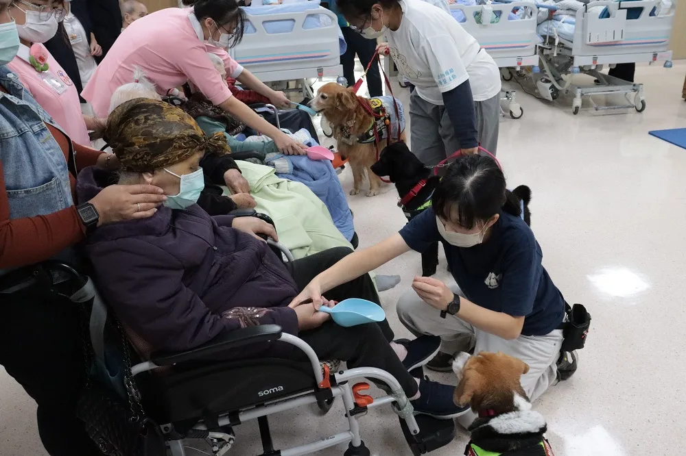3隻服務犬經過感染控制的審核後，首度在彰醫進行動物輔助治療。翻攝自衛生福利部彰化醫院 臉書