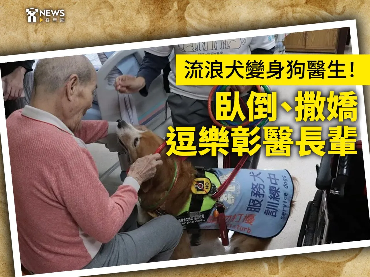 流浪犬變身狗醫生！臥倒、撒嬌逗樂彰醫長輩