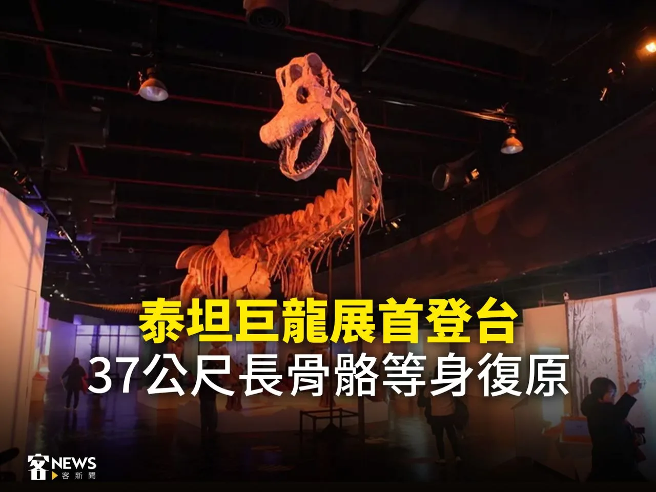 泰坦巨龍展首登台　37公尺長骨骼等身復原