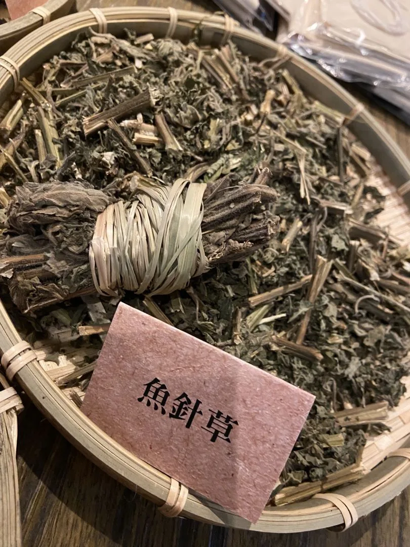 客家人熟悉的抹草即是魚針草，小寶寶無緣由夜啼時，常見阿婆拿出一捲捲的抹草，先使用水盆盛裝熱水後讓抹草浸溼，再將毛巾使用抹草水擦臉擦身體，給小寶寶安心定神。驅邪避凶之效。徐穗青攝