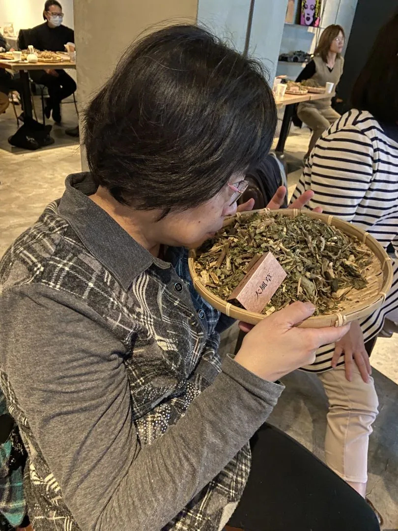 去瘀活血、安眠消除疲勞之用，適合泡腳、泡澡的大風草。徐穗青攝