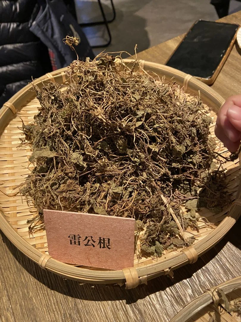 雷公根別名積雪草，美膚聖品，性寒。可減少疲勞，焦慮、助眠，另有抗發炎功效。徐穗青攝