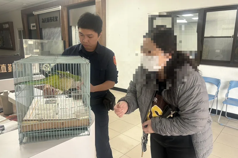 一隻走失寵物鸚鵡23日飛進台南市第三分局安南派出所,警方根據腳環資料通知飼主張姓女子(右)前往領回。警方提供