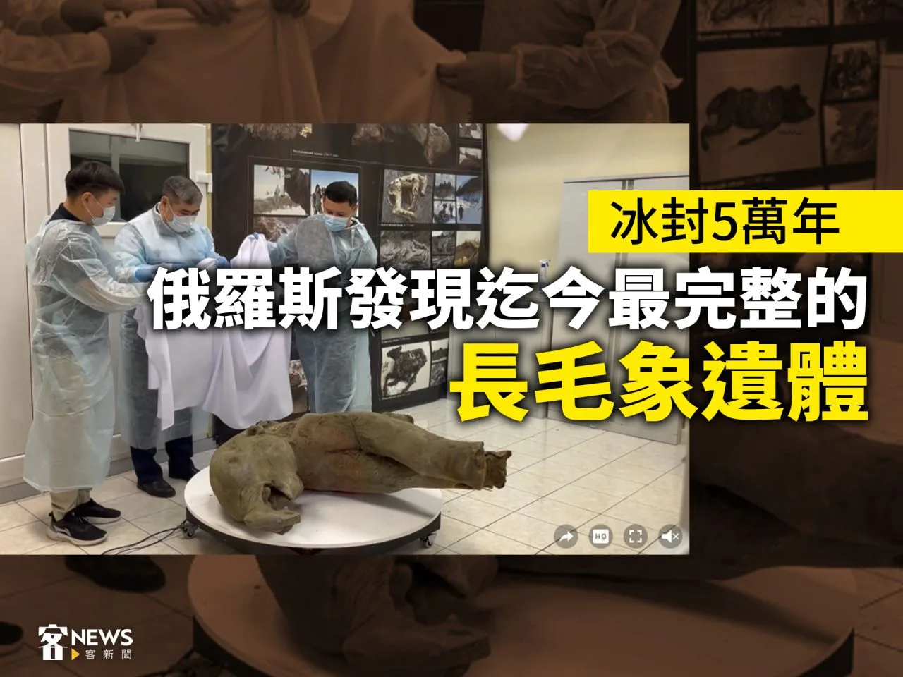 冰封5萬年　俄羅斯發現迄今最完整的長毛象遺體