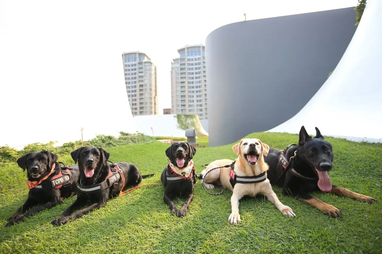 台中市警犬隊首批服役的警犬已達7年服務年限，光榮退役。翻攝自台中市警局刑事警察大隊臉書
