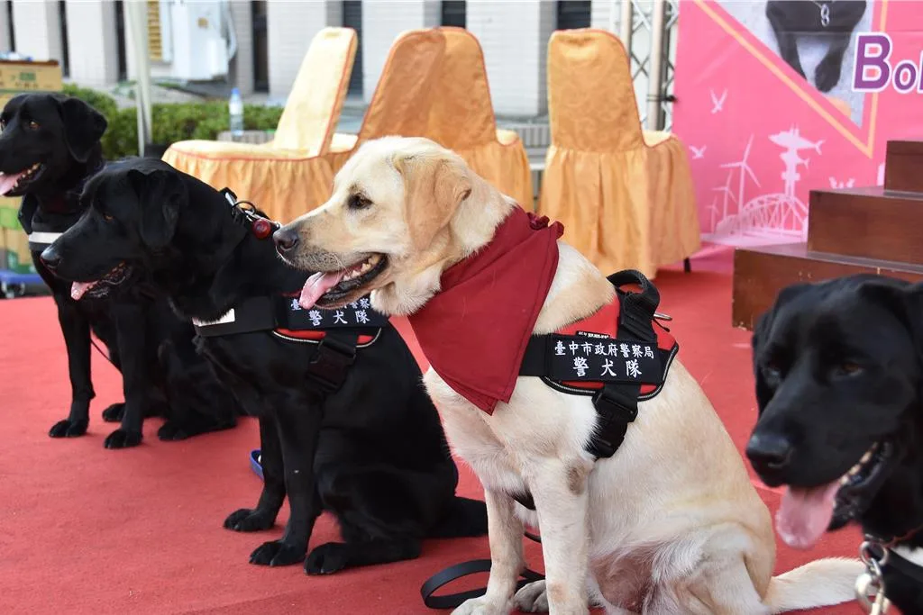 台中市警犬隊首批服役的警犬已達7年服務年限，光榮退役。警方提供