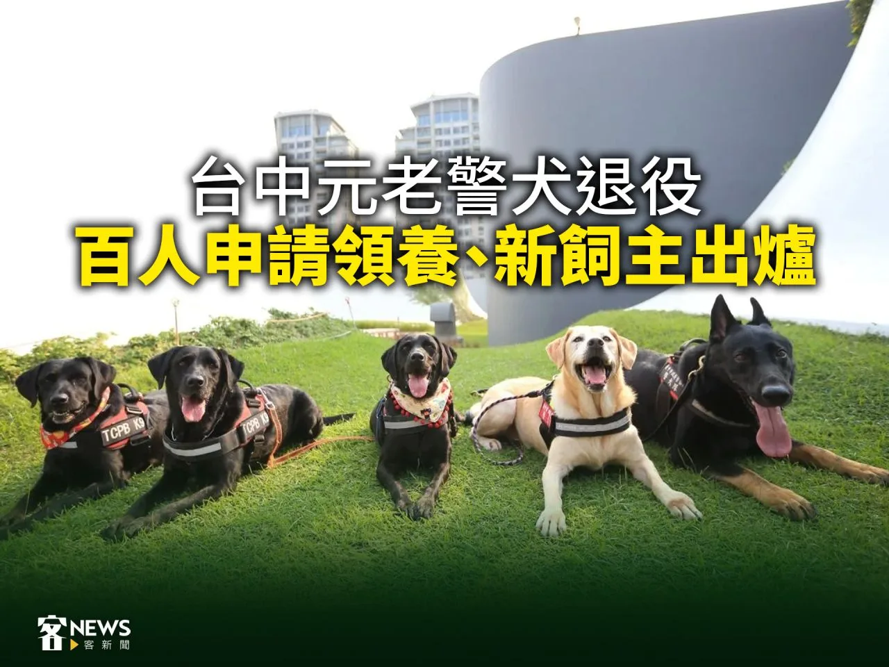 台中元老警犬退役　百人申請領養、新飼主出爐