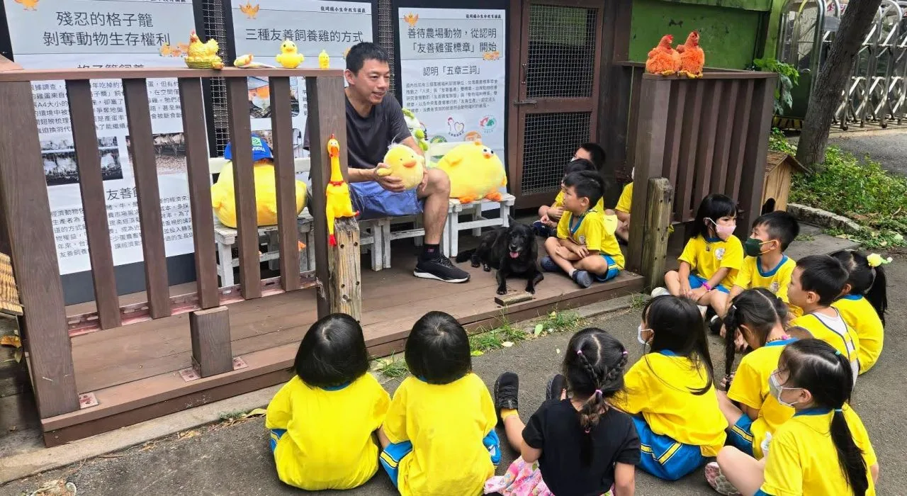 渡小朋友認識畜雞仔。鍾孝昇提供