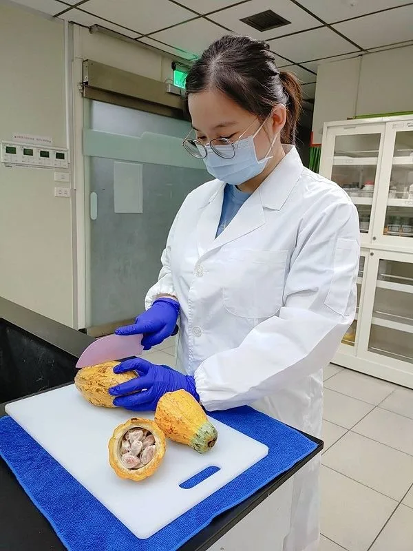 助農民降低可可鎘含量　屏東縣府出版指引手冊