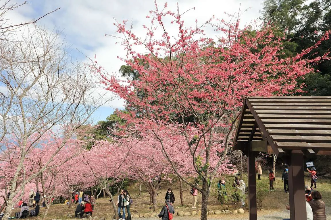 「山那邊的市集」　茂林、寶山、六龜接連登場