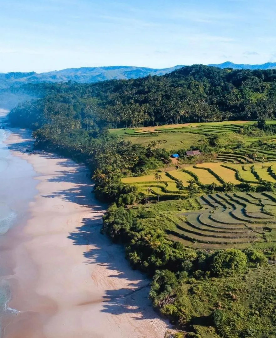 尼希瓦圖海灘以起伏田園和壯麗的稀樹草原而聞名。圖取自X/Fubiz