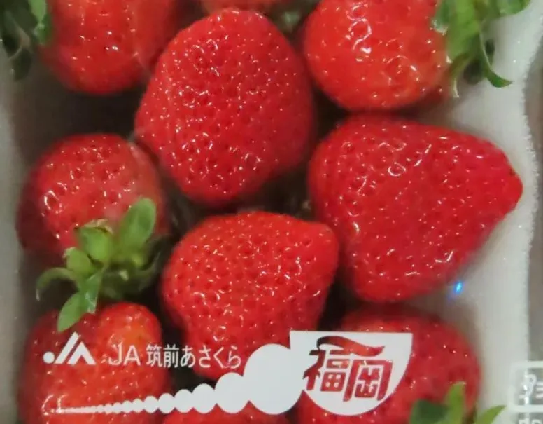 日韓進口草莓農藥殘留違規。食藥署提供