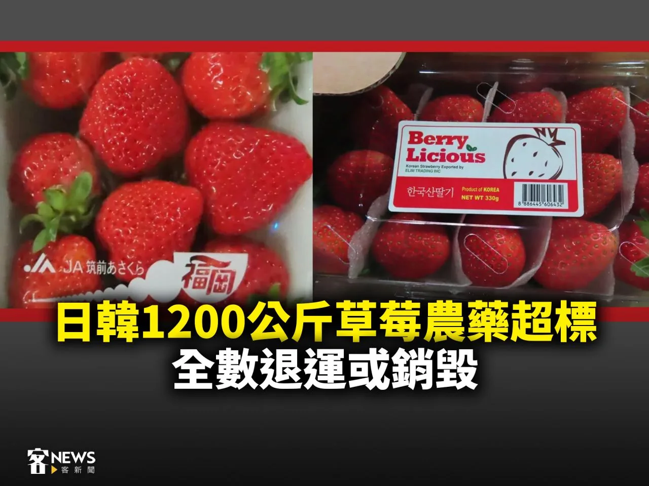 日韓1200公斤草莓農藥超標　全數退運或銷毀