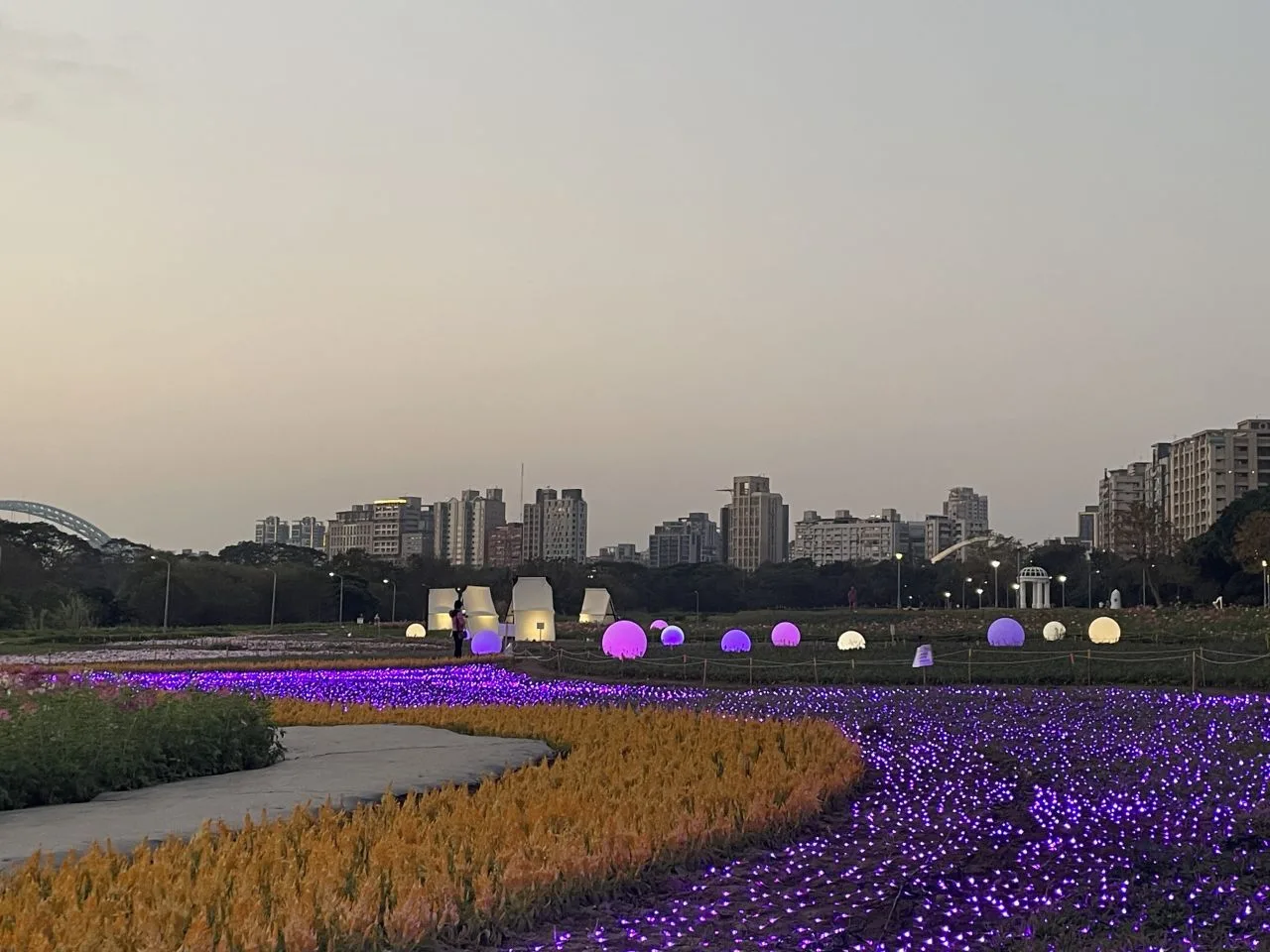 大型球燈藏在花叢間，夜晚亮起讓花海更是別有風味。臺北市政府工務局水利工程處提供