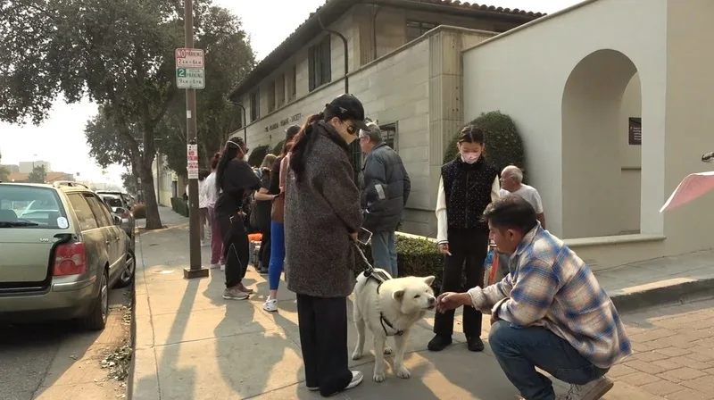動物救援組織「帕沙迪納人道協會」(Pasadena Humane)提供災民寄養寵物,出現排隊人龍。中央社