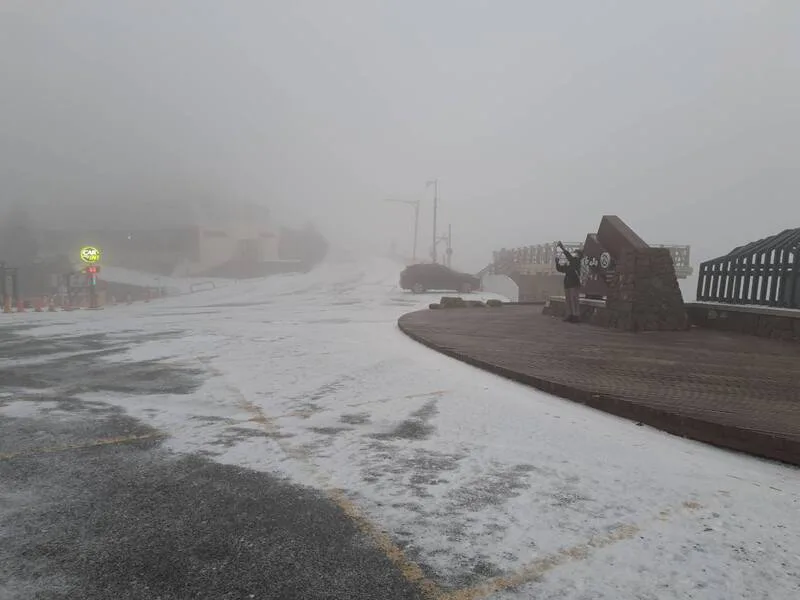 合歡山降冰霰遊客開心堆雪人　上山追雪須掛雪鏈