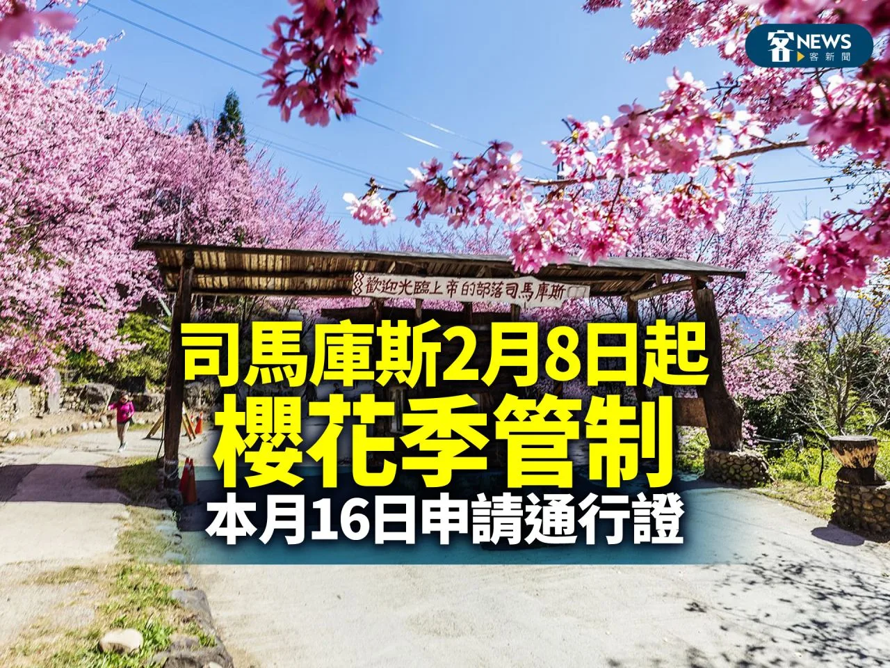 司馬庫斯2月8日起櫻花季管制　本月16日申請通行證