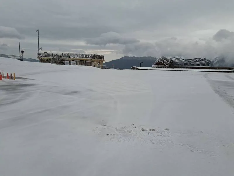 松雪樓積雪約3.5公分。林業及自然保育署南投分署提供