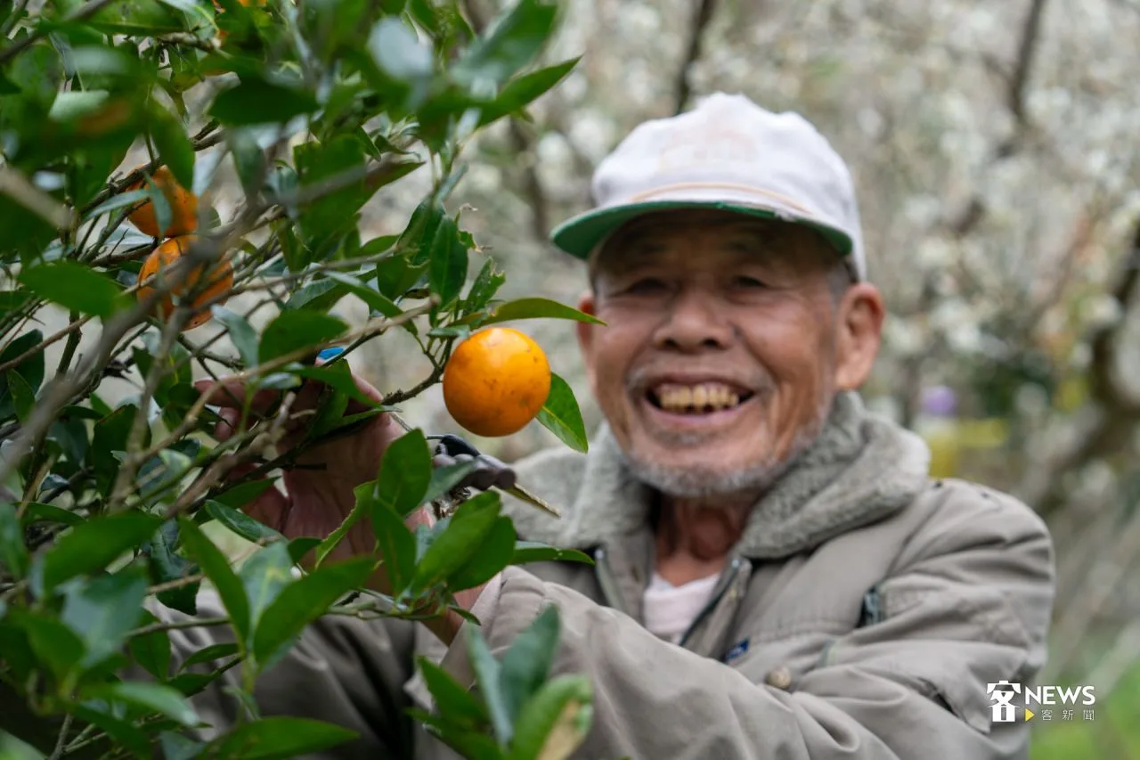 林成發在自家李花園中種植許多水果、花卉。洪藝晅攝