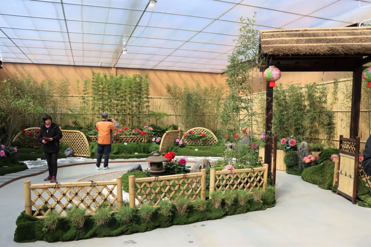 館內引進日本600棟牡丹花，也特別設計庭園造景。苗栗縣政府提供