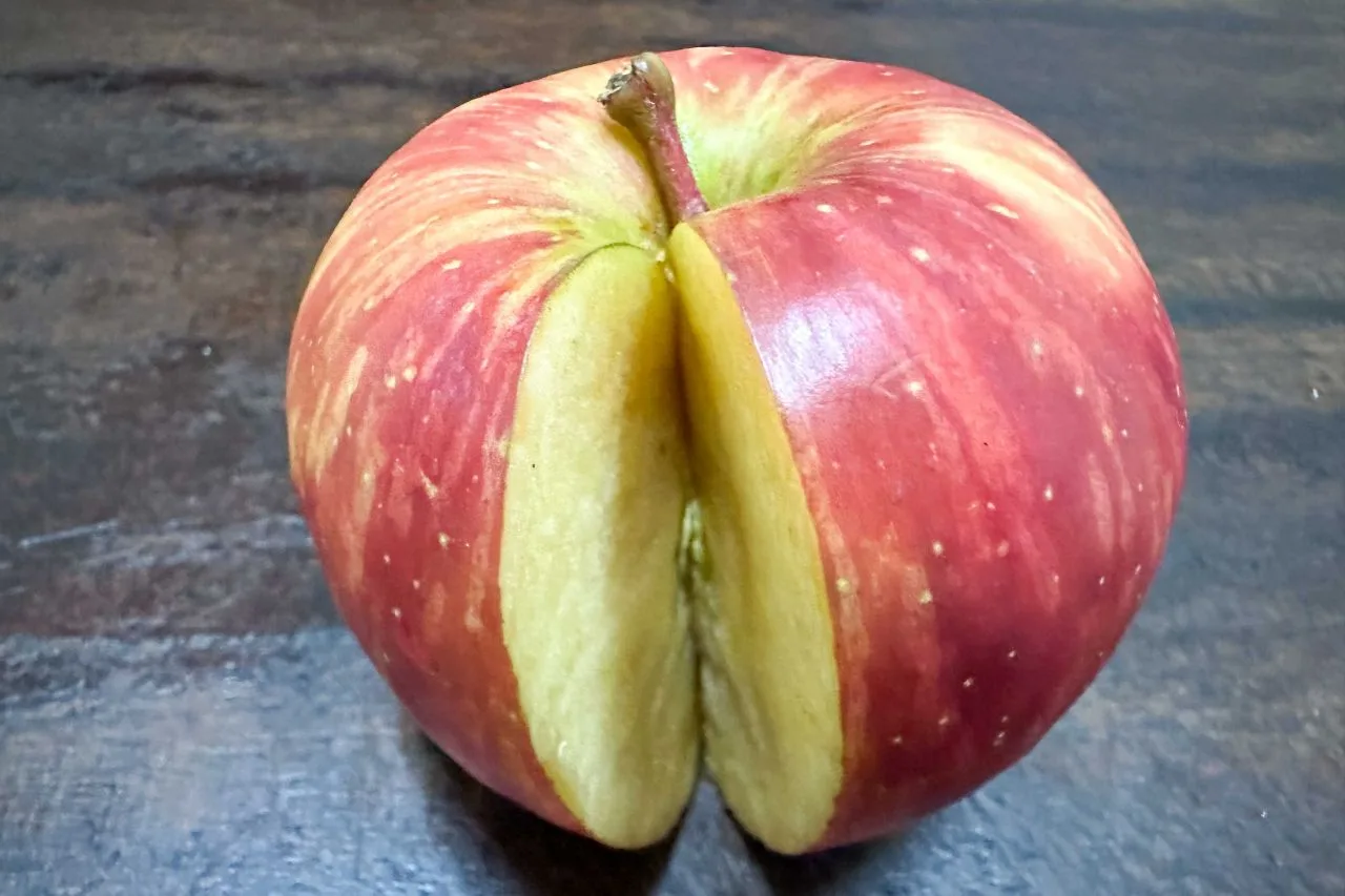 蜜蘋果。邱鴻春攝