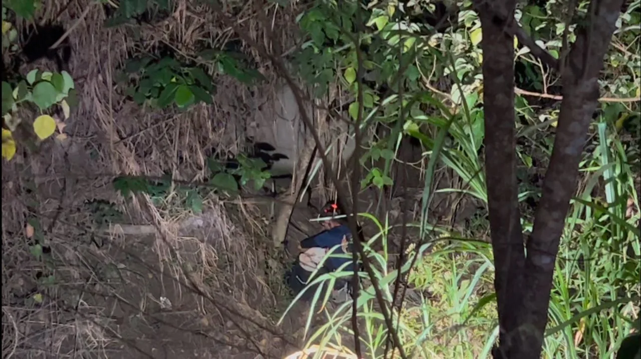 攀樹教練垂降救援墜谷寵物犬。臺南山上花園水道博物館提供